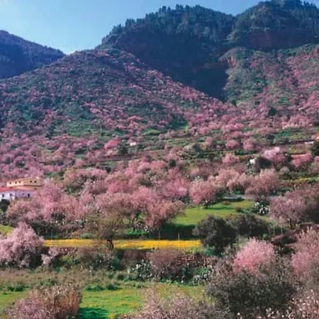 El Helechal Valsequillo de Gran Canaria