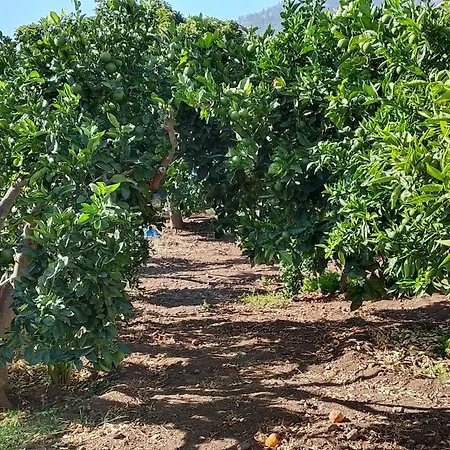 El Helechal Valsequillo de Gran Canaria