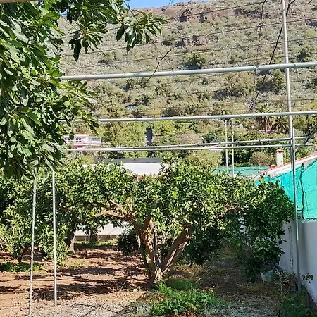 El Helechal